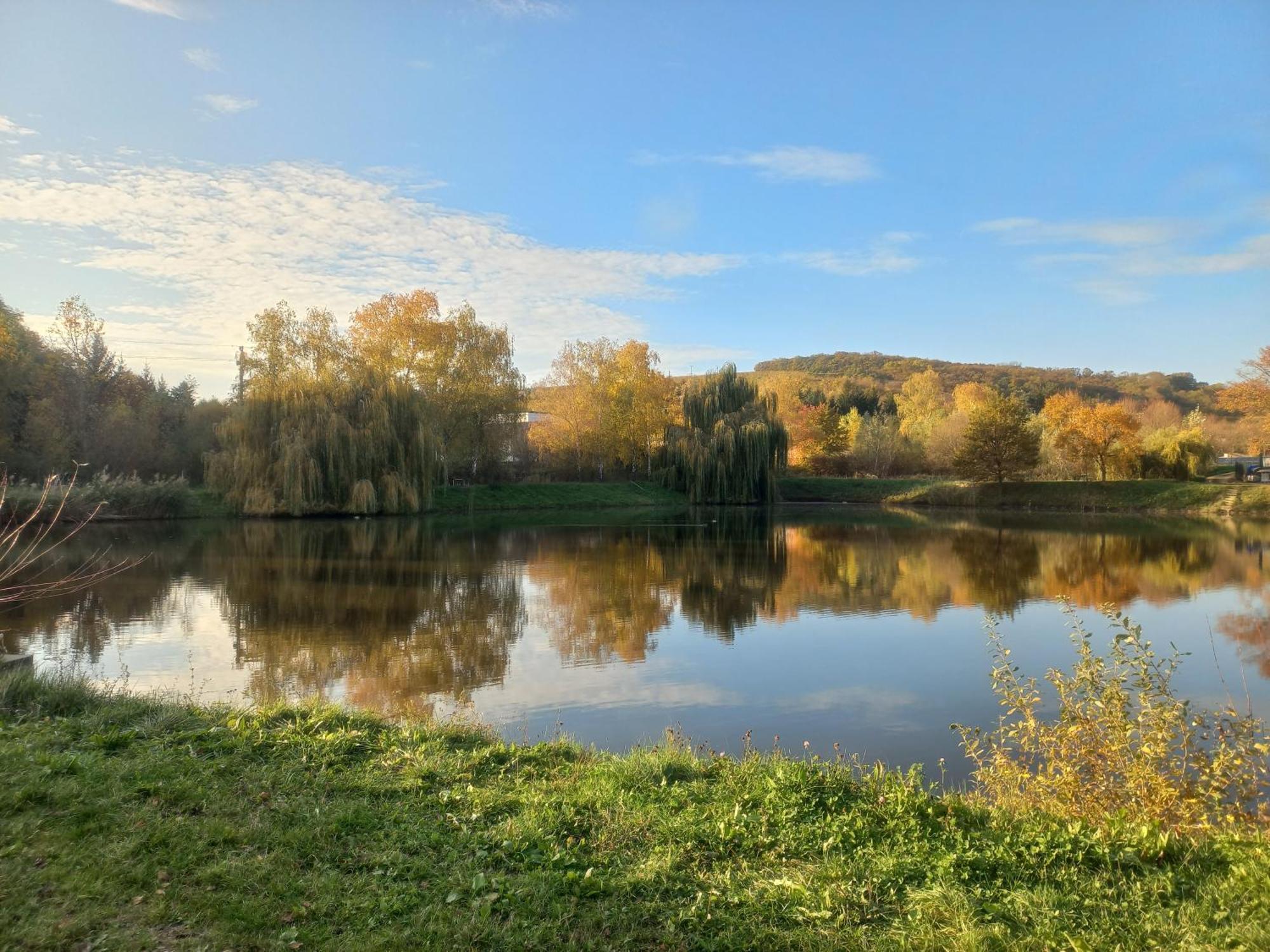 Penzion Ve Vinohrade Němčičky Dış mekan fotoğraf