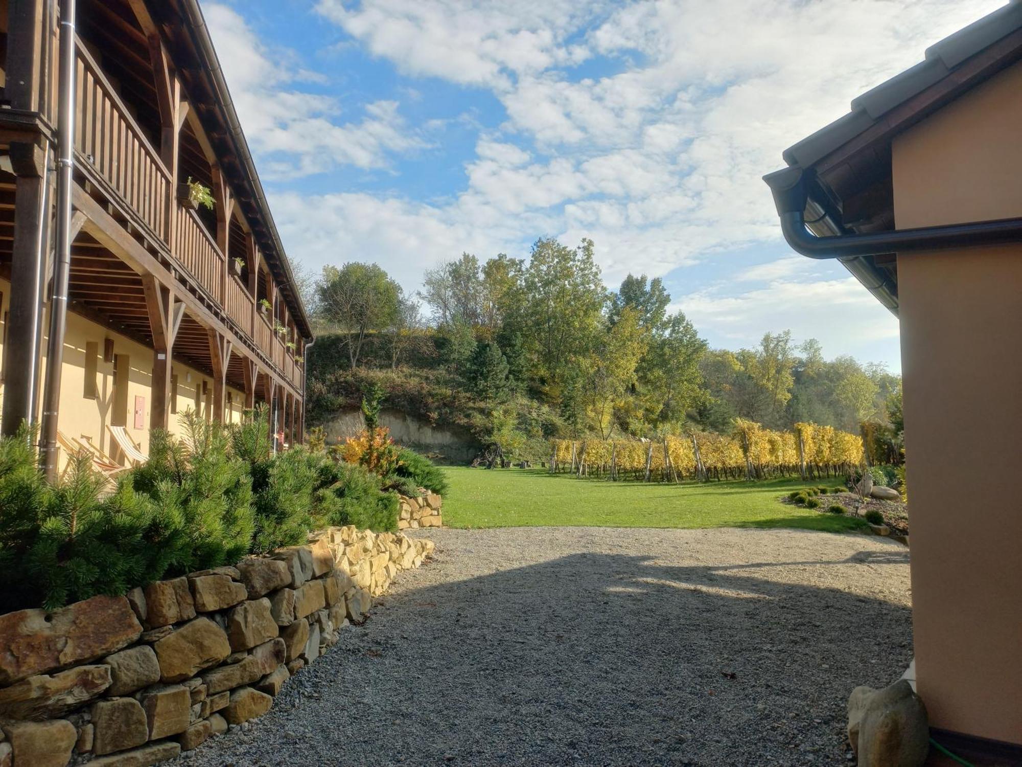 Penzion Ve Vinohrade Němčičky Dış mekan fotoğraf